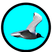 Kværkeby Fuglereservat logo